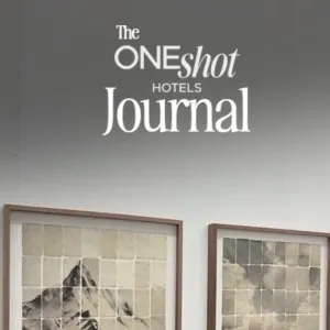 one-shot-journal-art-madrid-interview-joost-vandebrug