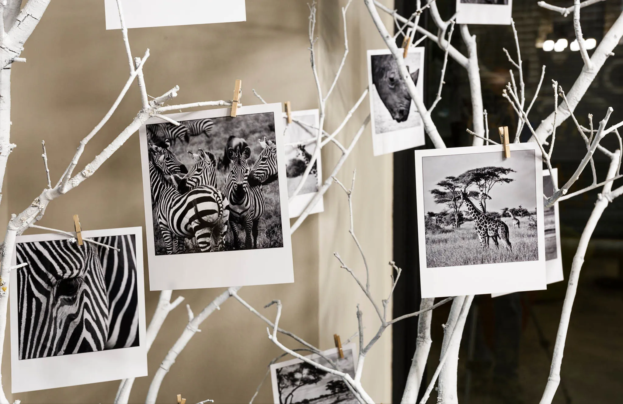 one-shot-hotels-mercat-valencia-art-exhibition